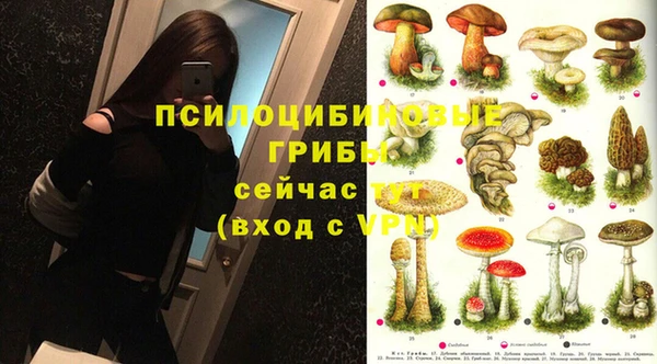 2c-b Белоозёрский