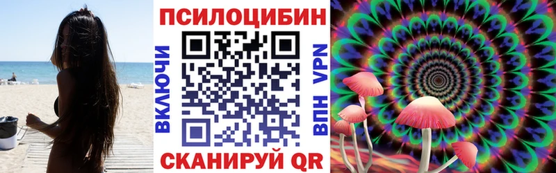 купить  сайты  Высоковск  Галлюциногенные грибы Magic Shrooms 